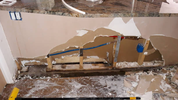 Best Sewage cleanup and water damage restoration  in Pine Brook, NJ