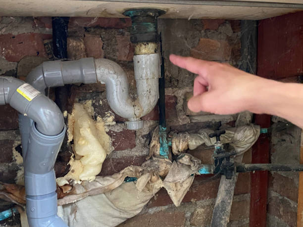 Best Water damage restoration near me  in Pine Brook, NJ