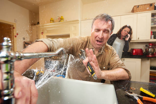 Best Flood restoration services  in Pine Brook, NJ